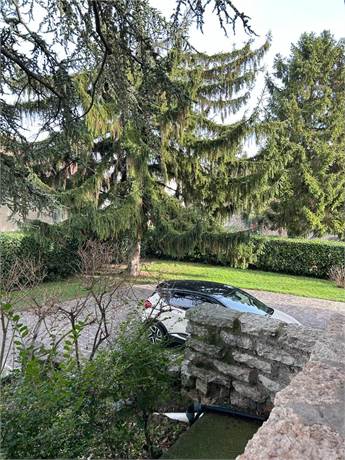 Photo 32